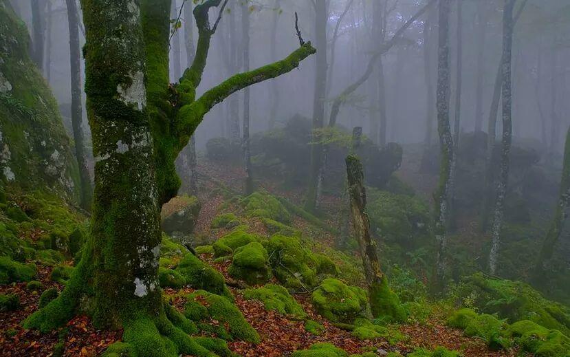 Albergue Armaia Artepea Urzainqui Dış mekan fotoğraf