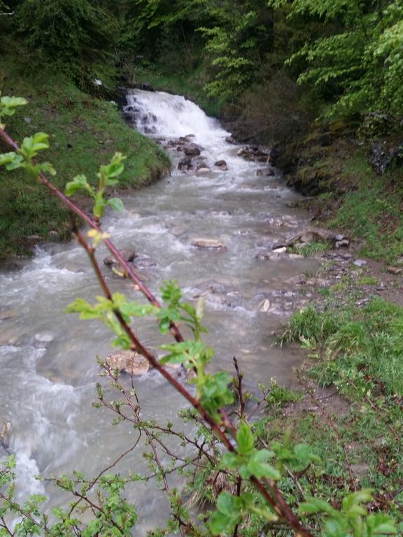 Albergue Armaia Artepea Urzainqui Dış mekan fotoğraf