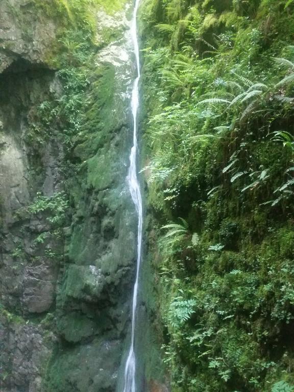 Albergue Armaia Artepea Urzainqui Dış mekan fotoğraf